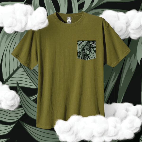 Palm Collection